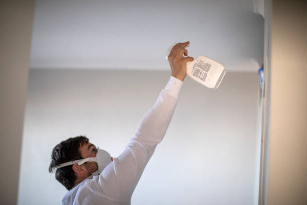 Best Affordable Mold Removal  in Jonesville, MI