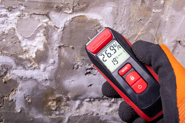 Best Water Damage Restoration  in Jonesville, MI