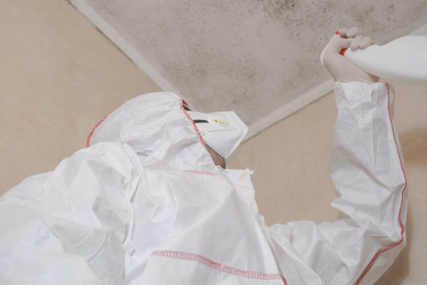 Water Damage Restoration in Jonesville, MI